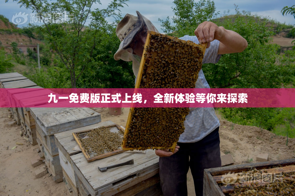 九一免费版正式上线，全新体验等你来探索