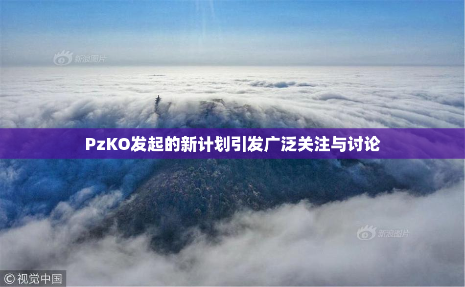 PzKO发起的新计划引发广泛关注与讨论