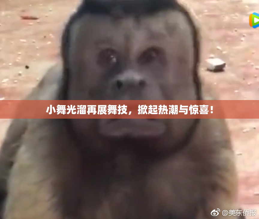 小舞光溜再展舞技，掀起热潮与惊喜！
