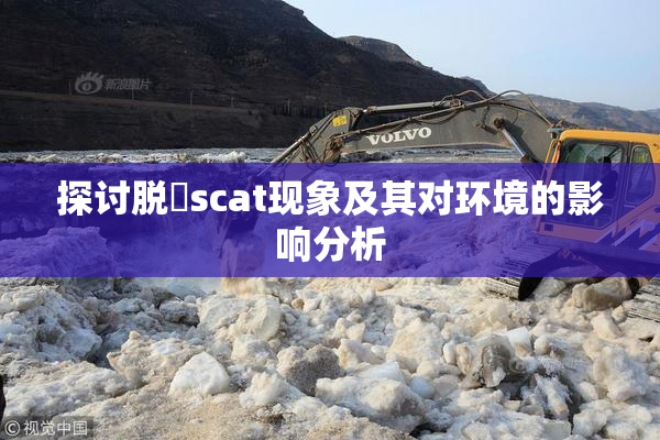 探讨脱糞scat现象及其对环境的影响分析