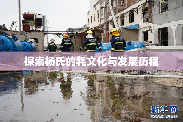 探索杨氏的牦文化与发展历程