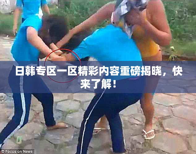 日韩专区一区精彩内容重磅揭晓，快来了解！