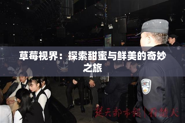 草莓视界：探索甜蜜与鲜美的奇妙之旅