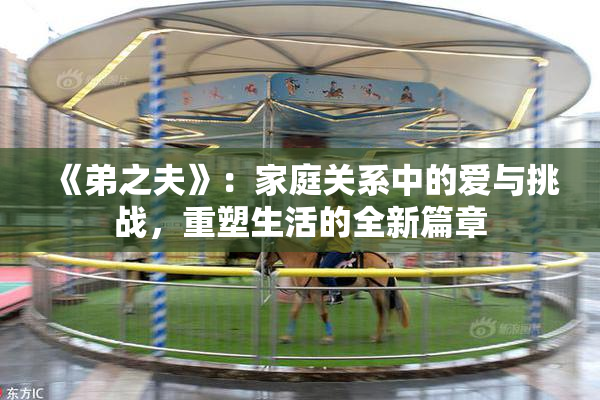 《弟之夫》：家庭关系中的爱与挑战，重塑生活的全新篇章