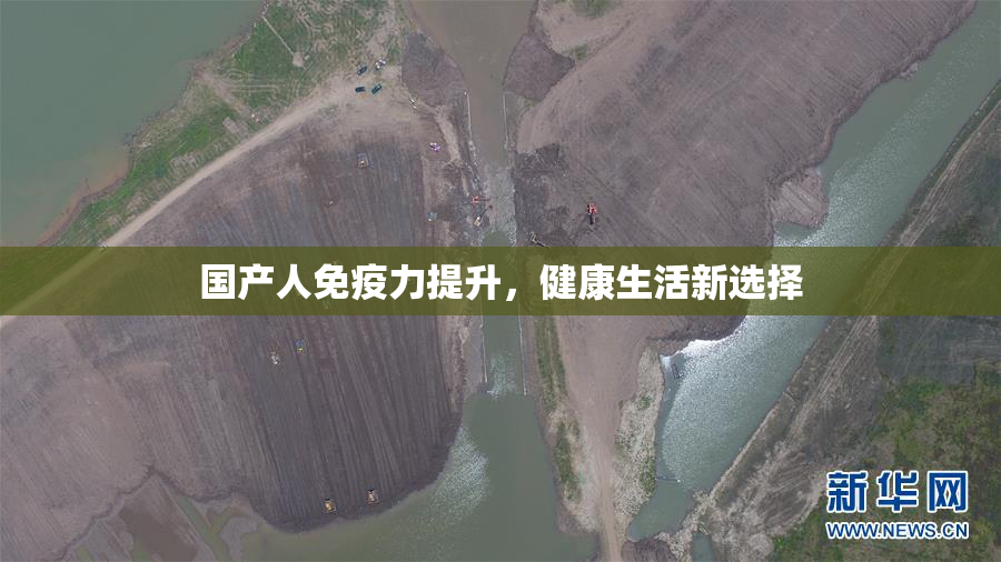 国产人免疫力提升，健康生活新选择