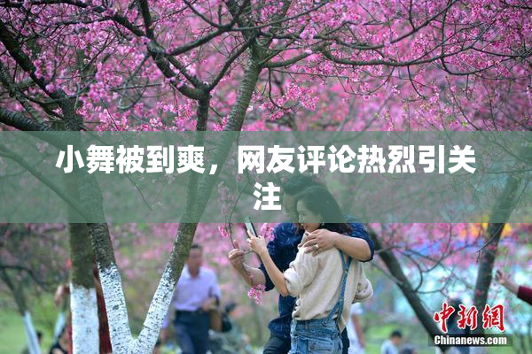 小舞被到爽，网友评论热烈引关注