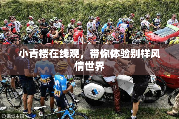 小青楼在线观，带你体验别样风情世界