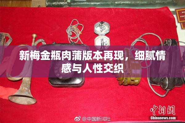 新梅金瓶肉蒲版本再现，细腻情感与人性交织