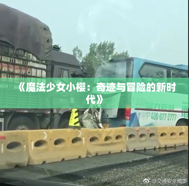 《魔法少女小樱：奇迹与冒险的新时代》