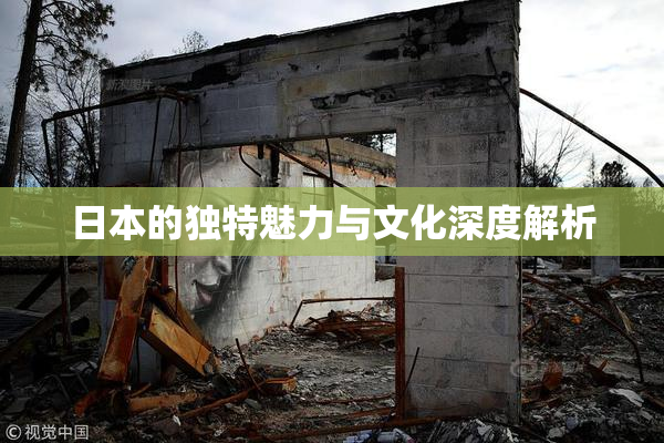 日本的独特魅力与文化深度解析