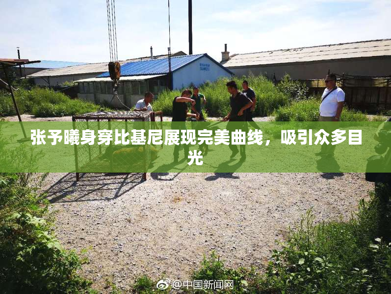 张予曦身穿比基尼展现完美曲线，吸引众多目光