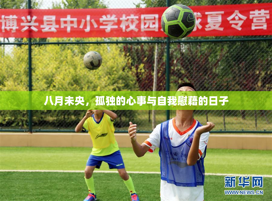 八月未央，孤独的心事与自我慰藉的日子