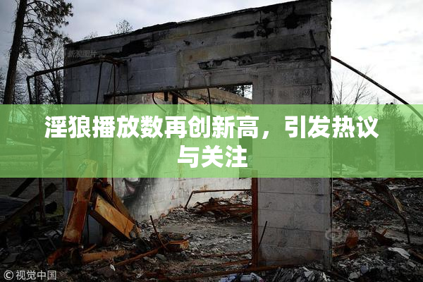 淫狼播放数再创新高，引发热议与关注