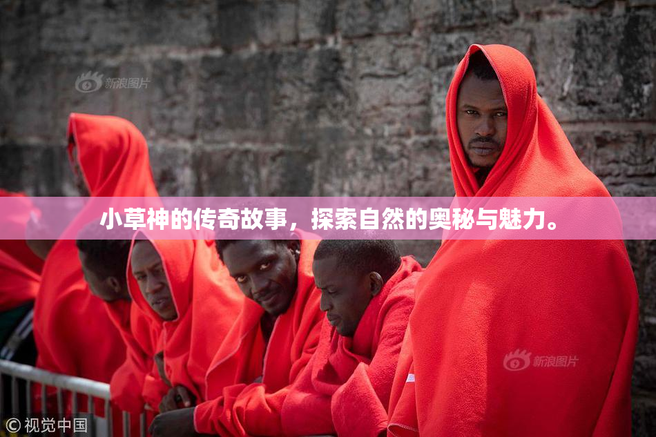 小草神的传奇故事，探索自然的奥秘与魅力。