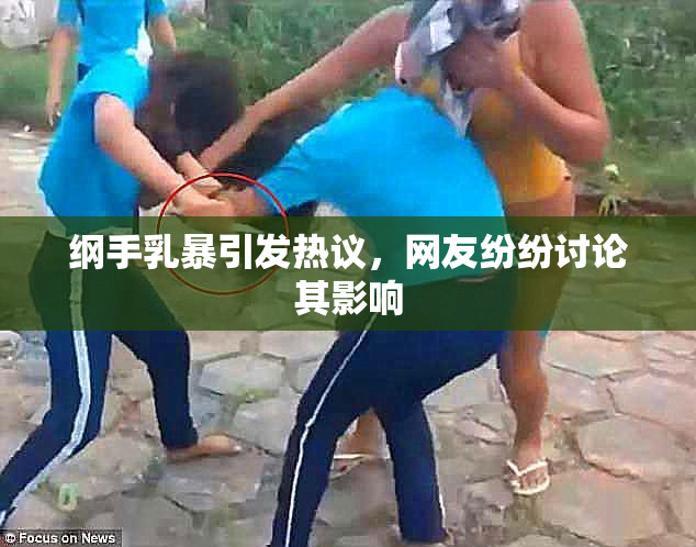 纲手乳暴引发热议，网友纷纷讨论其影响