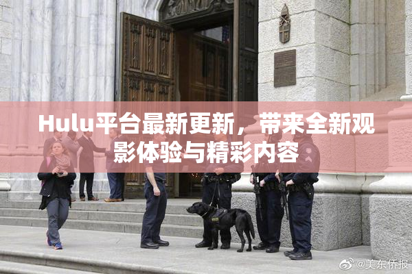 Hulu平台最新更新，带来全新观影体验与精彩内容