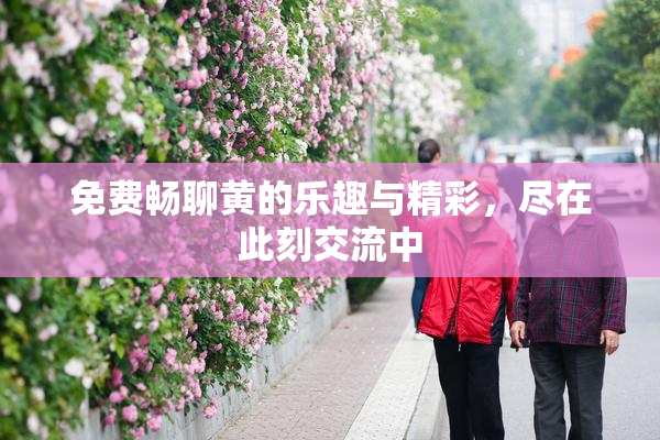 免费畅聊黄的乐趣与精彩，尽在此刻交流中