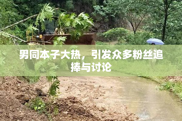 男同本子大热，引发众多粉丝追捧与讨论