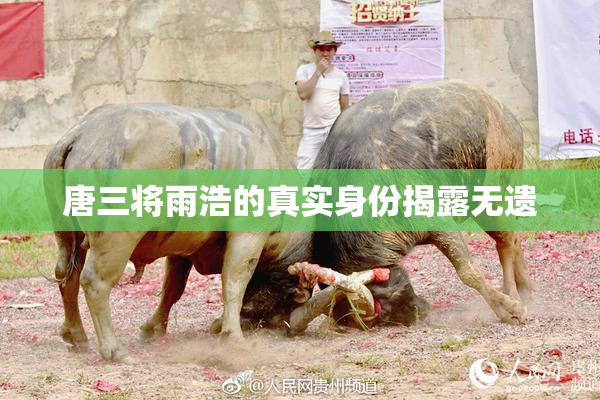 唐三将雨浩的真实身份揭露无遗