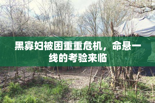 黑寡妇被困重重危机，命悬一线的考验来临