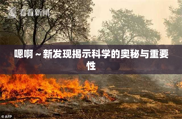 嗯啊～新发现揭示科学的奥秘与重要性