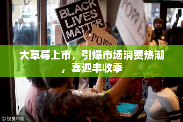 大草莓上市，引爆市场消费热潮，喜迎丰收季