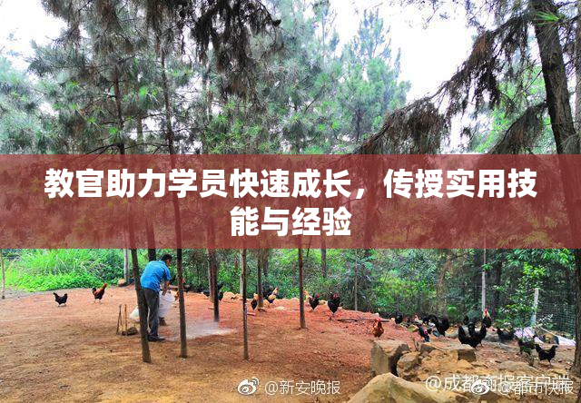 教官助力学员快速成长，传授实用技能与经验