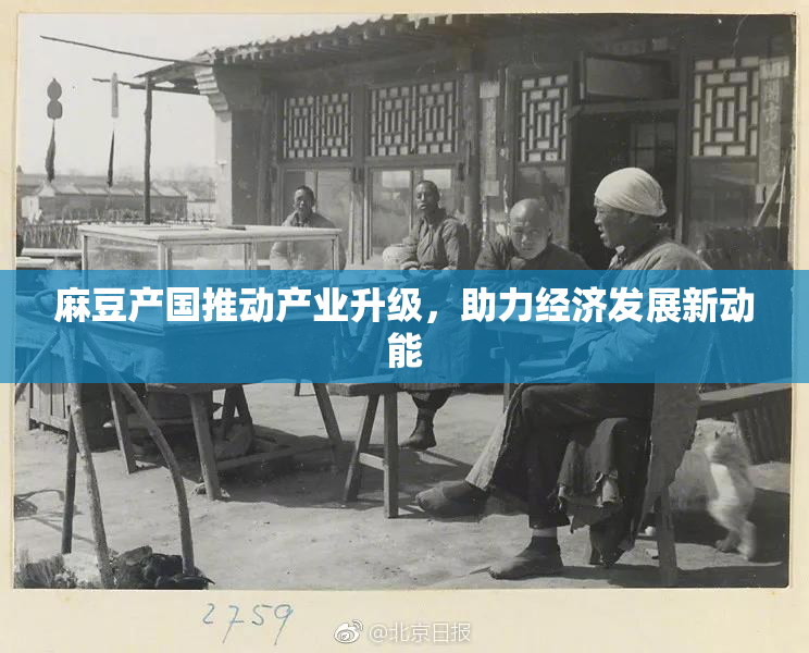 麻豆产国推动产业升级，助力经济发展新动能