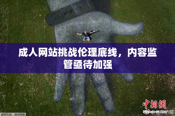 成人网站挑战伦理底线，内容监管亟待加强