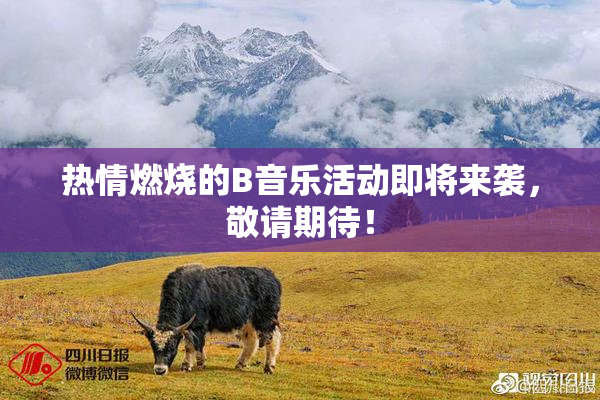 热情燃烧的B音乐活动即将来袭，敬请期待！