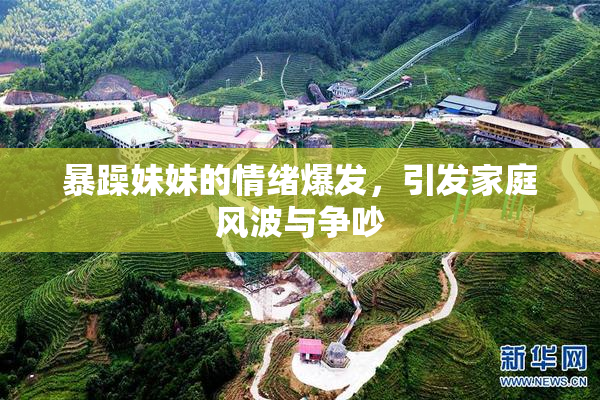 暴躁妹妹的情绪爆发，引发家庭风波与争吵