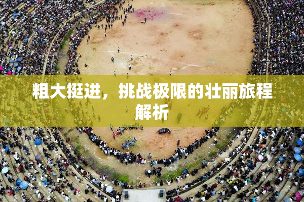 粗大挺进，挑战极限的壮丽旅程解析