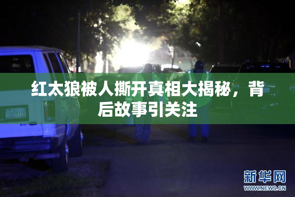 红太狼被人撕开真相大揭秘，背后故事引关注