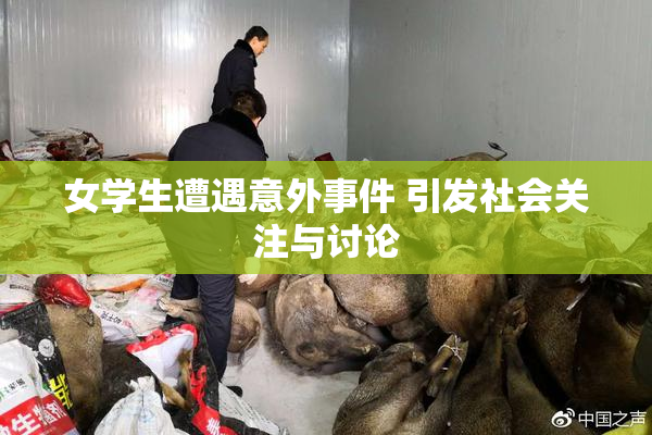 女学生遭遇意外事件 引发社会关注与讨论