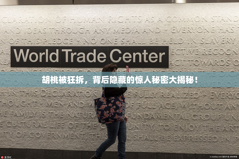 胡桃被狂拆，背后隐藏的惊人秘密大揭秘！
