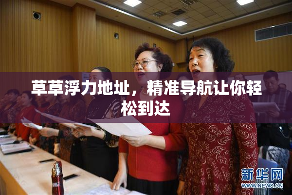 草草浮力地址，精准导航让你轻松到达