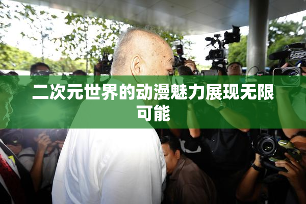 二次元世界的动漫魅力展现无限可能