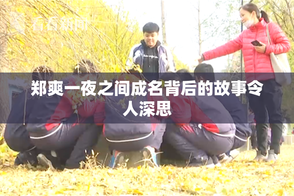 郑爽一夜之间成名背后的故事令人深思