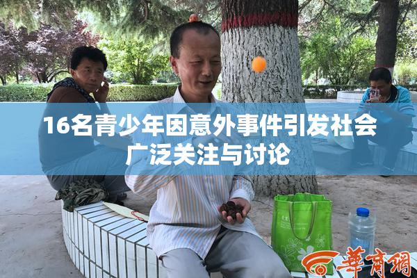16名青少年因意外事件引发社会广泛关注与讨论