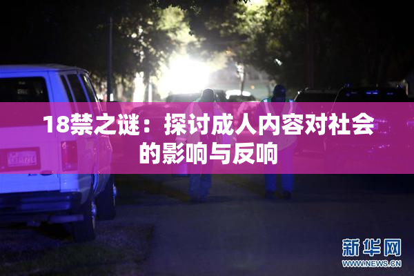 18禁之谜：探讨成人内容对社会的影响与反响