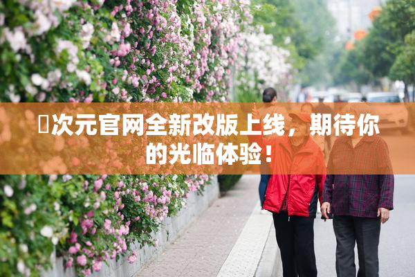 囧次元官网全新改版上线，期待你的光临体验！