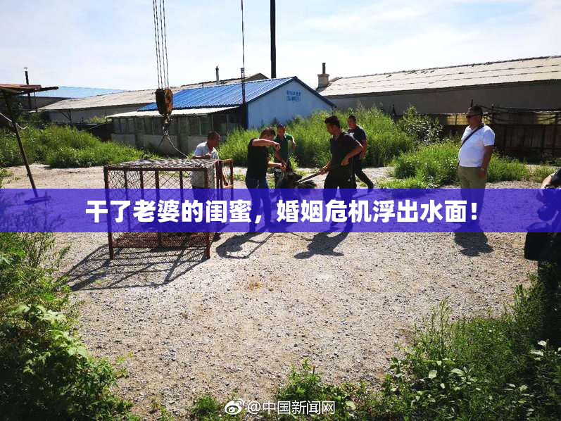 干了老婆的闺蜜，婚姻危机浮出水面！