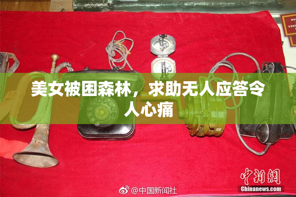 美女被困森林，求助无人应答令人心痛