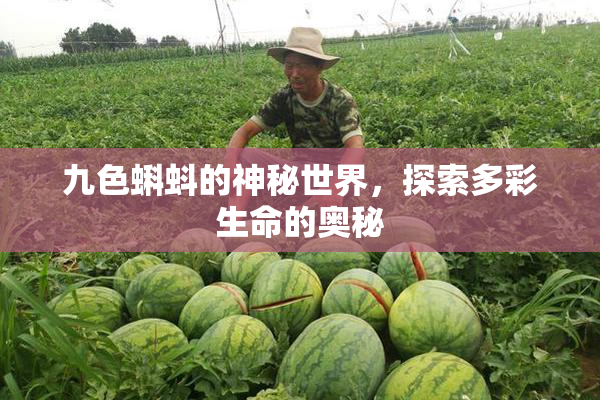 九色蝌蚪的神秘世界，探索多彩生命的奥秘