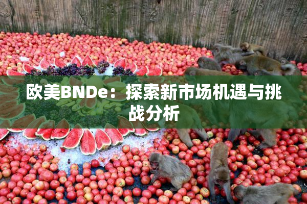 欧美BNDe：探索新市场机遇与挑战分析