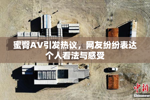蜜臀AV引发热议，网友纷纷表达个人看法与感受