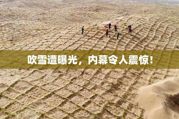 吹雪遭曝光，内幕令人震惊！