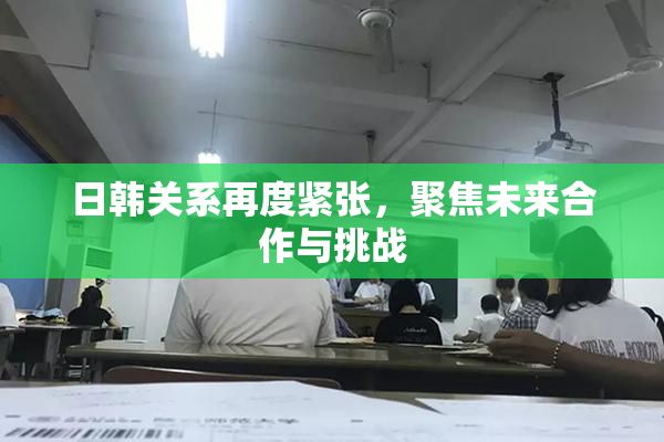日韩关系再度紧张，聚焦未来合作与挑战