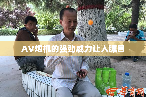AV炮机的强劲威力让人瞩目