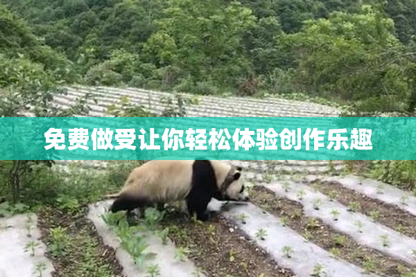 免费做受让你轻松体验创作乐趣